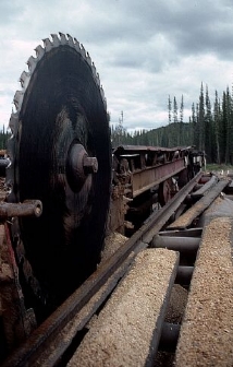 Sawm mill in operation