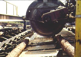 Sawm mill in operation cross cut saw