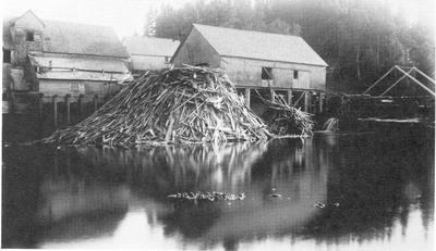 Beaver dam photo