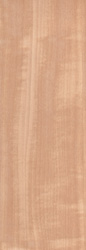 Example Wood Image