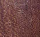 Example Wood Image