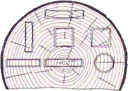 Log Cross Section