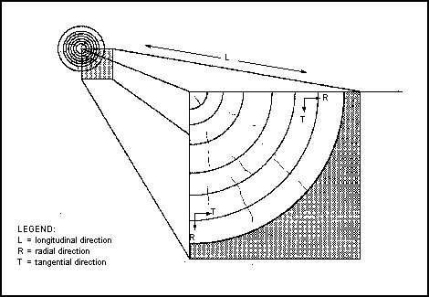 Log Cross Section Longitude