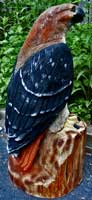 Artisans of the Valley feature Chainsaw Carving by Bob Eigenrauch - Red Tail Hawk