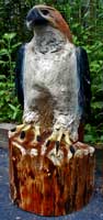 Artisans of the Valley feature Chainsaw Carving by Bob Eigenrauch - Red Tail Hawk